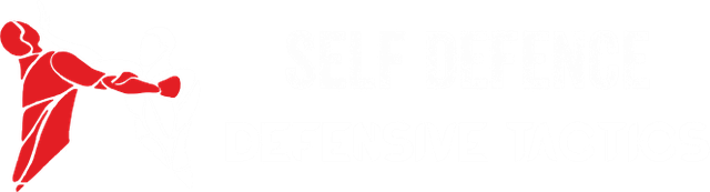 Self Defence İstanbul